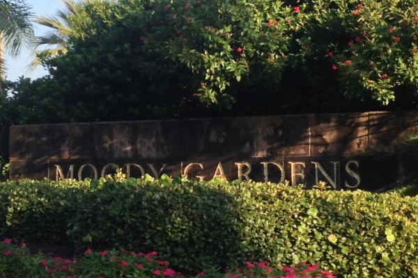 Moody Gardens Hotel Spa And Convention Center image 28